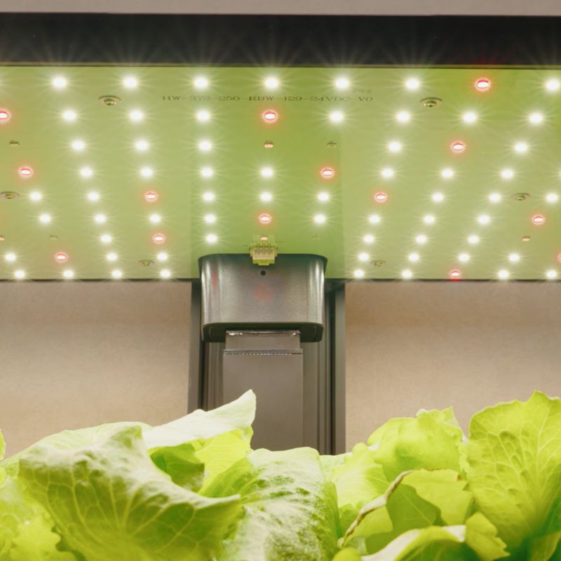 Los equipos programables de Aura Hidroponía Perú cuentan con iluminación LED que cuida tus plantas