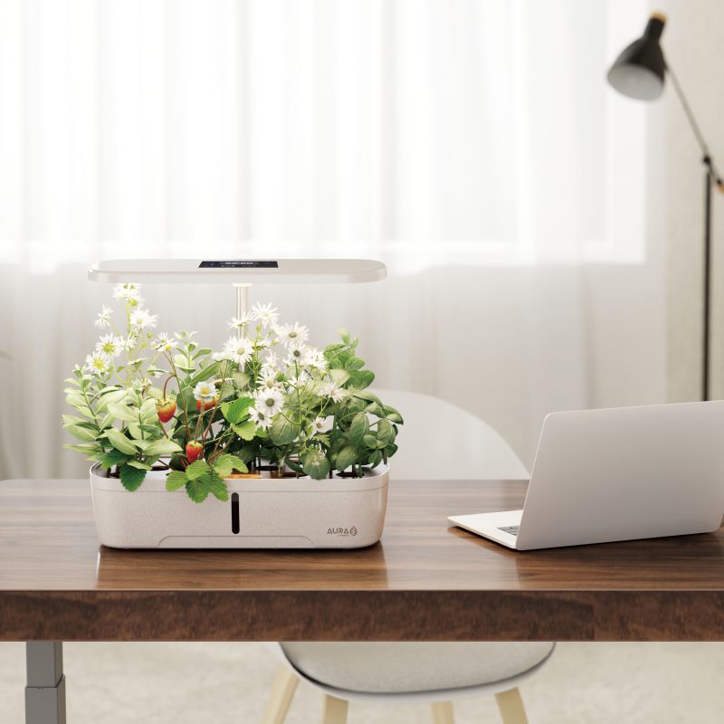 Aura Hidroponía Perú te brinda espacios más verdes y frescos